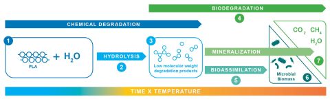 HYDRA Marine Sciences_PLA degradation_480.jpg