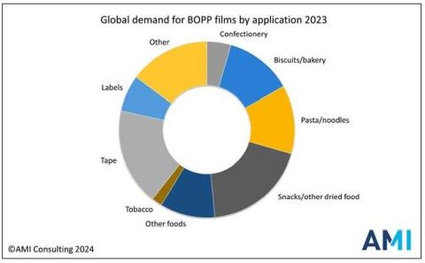 AMI_BOPP report 2024_480.JPG