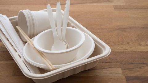 University of Auckland_compostable product_480.jpg