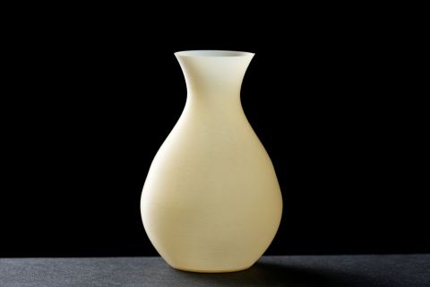3DP object using CNF_480.jpg