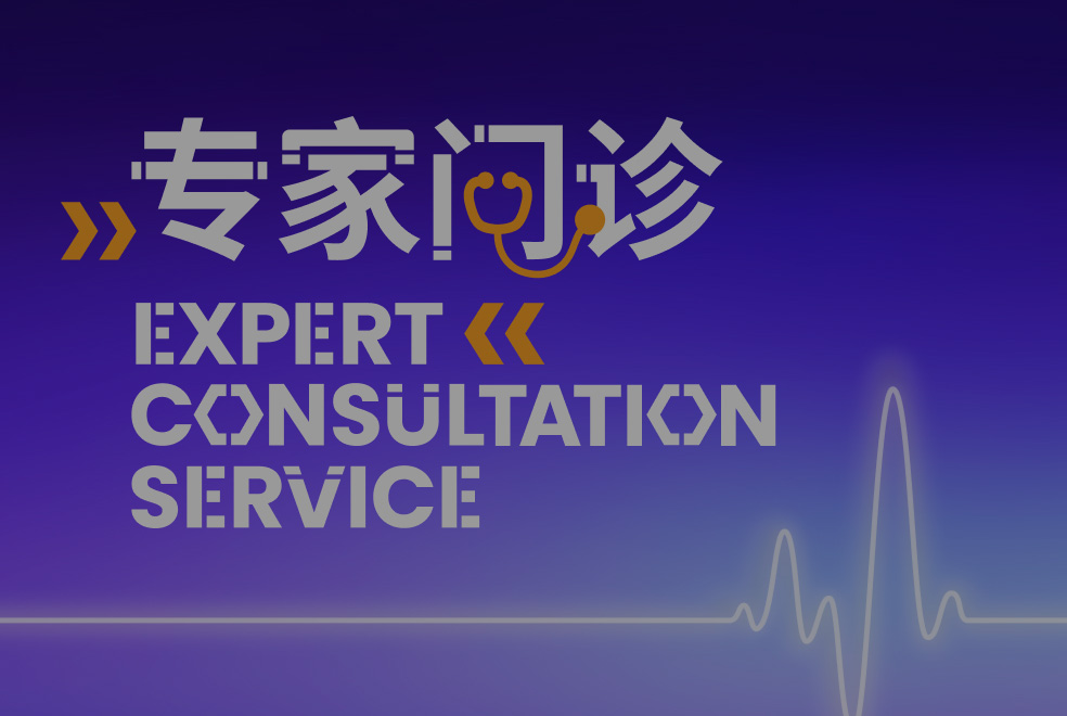 Expert Consultation Service