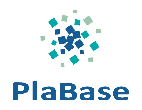 PlaBase