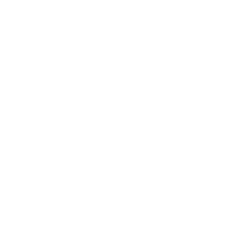 pig entry text