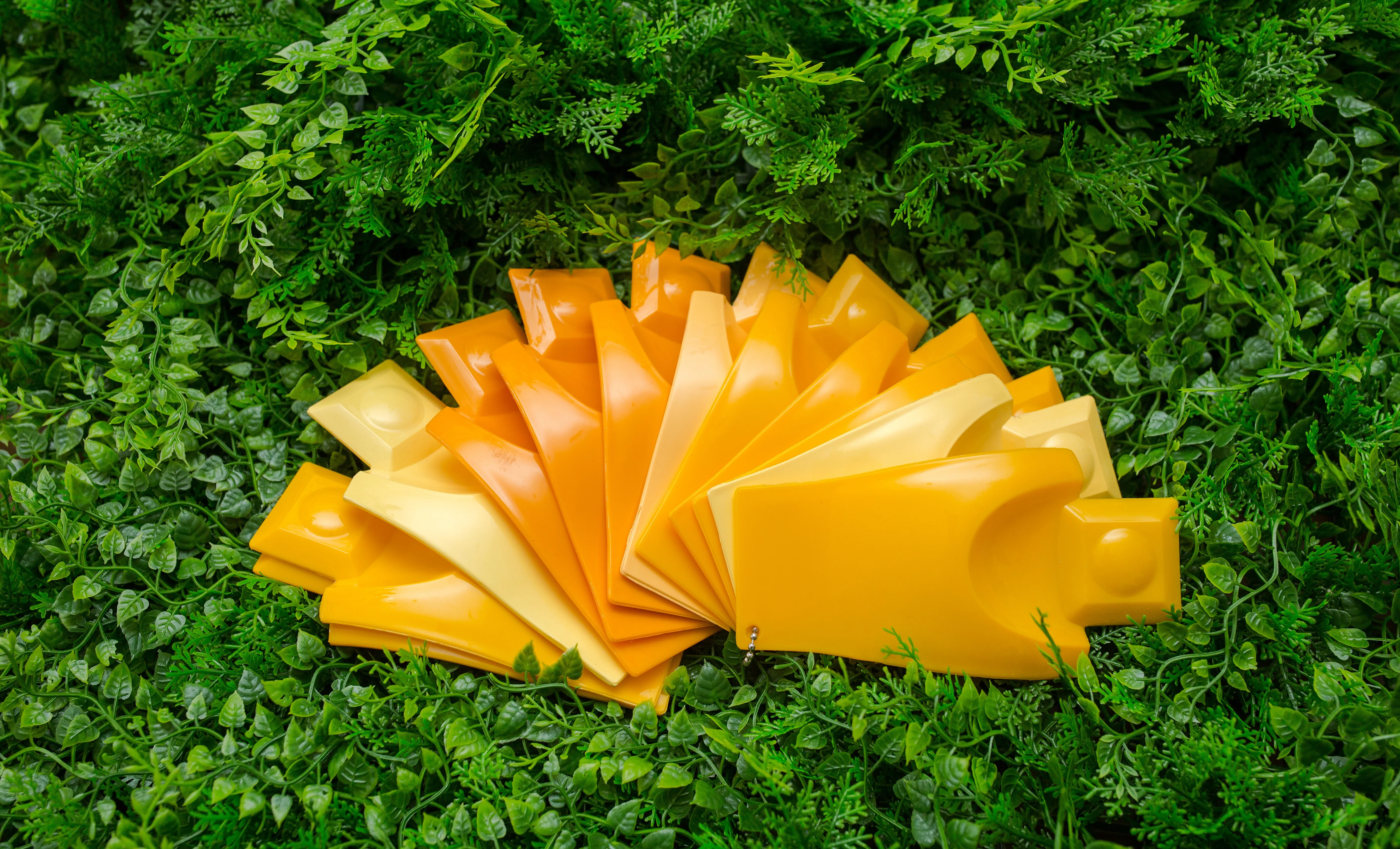 Shanghai Xinliang Plastic