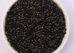 垃圾袋专用黑色母