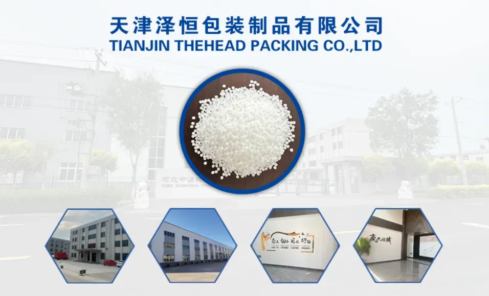 TIANJIN THEHEAD