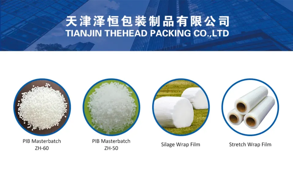 TIANJIN THEHEAD