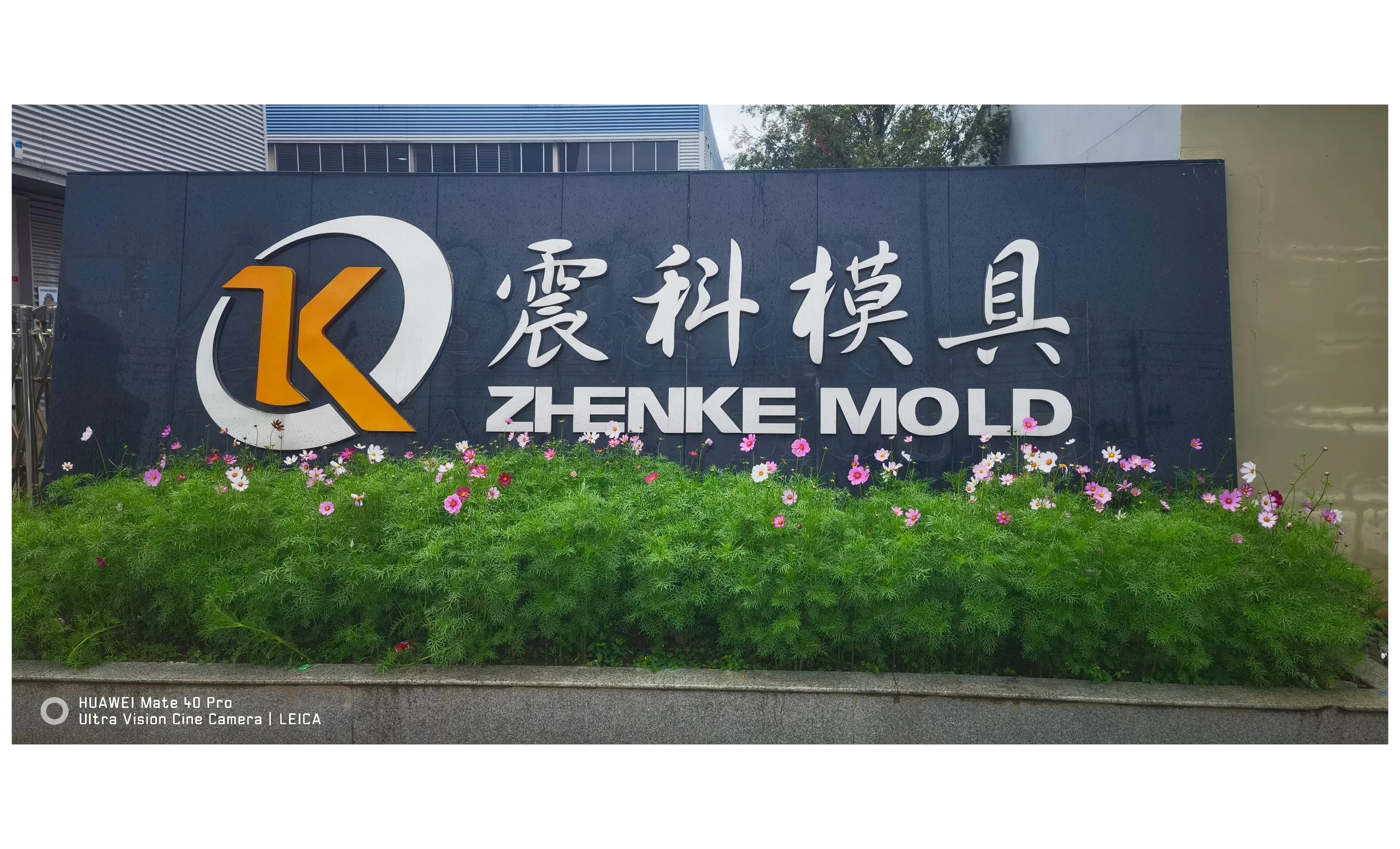 ZK MOLD
