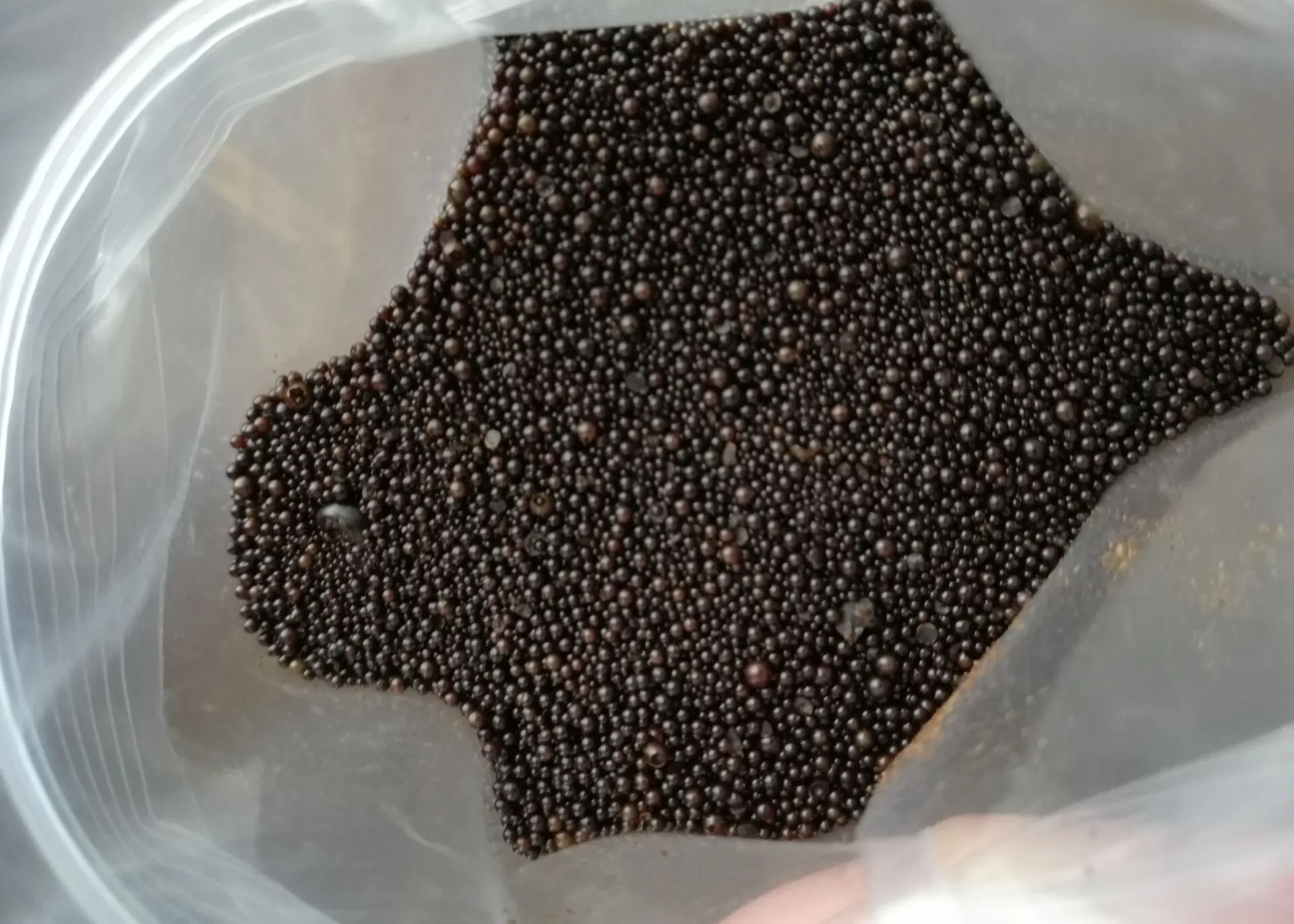 Montan Wax SliderImage