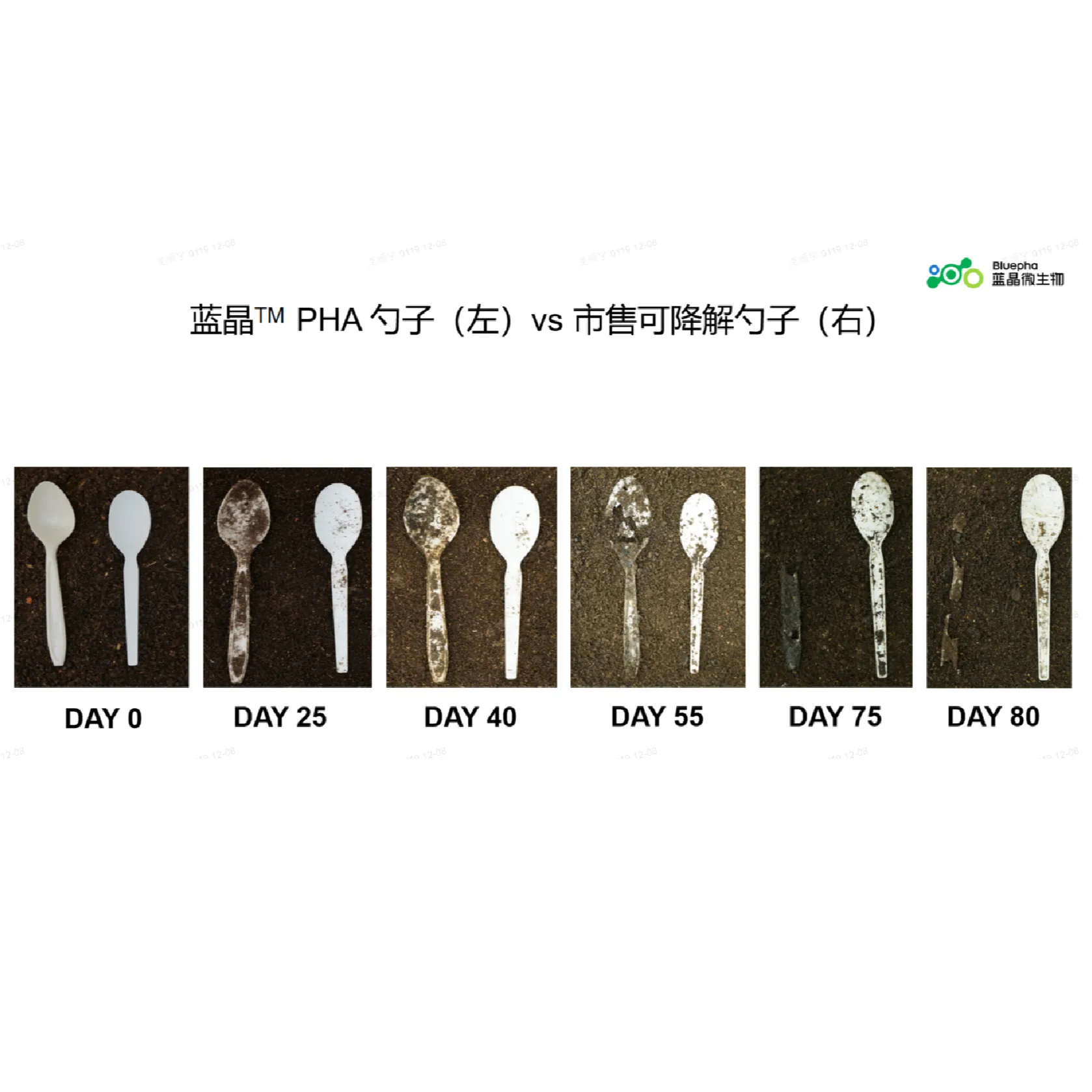 Spoons disposable spoons compostable spoons plastic spoons alternation bulk spoons foodware spoon home compostable spoons Party spoons disposable soup spoons SliderImage