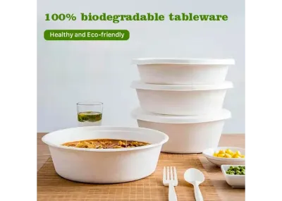 塑料食品容器可生物降解带盖可生物降解一次性塑料餐具刀