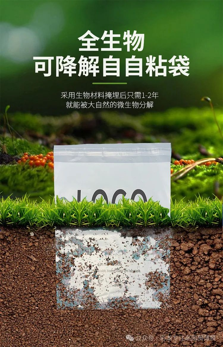 可降解PLA薄膜和PLA镀铝膜——环保与高阻隔的完美结合 SliderImage