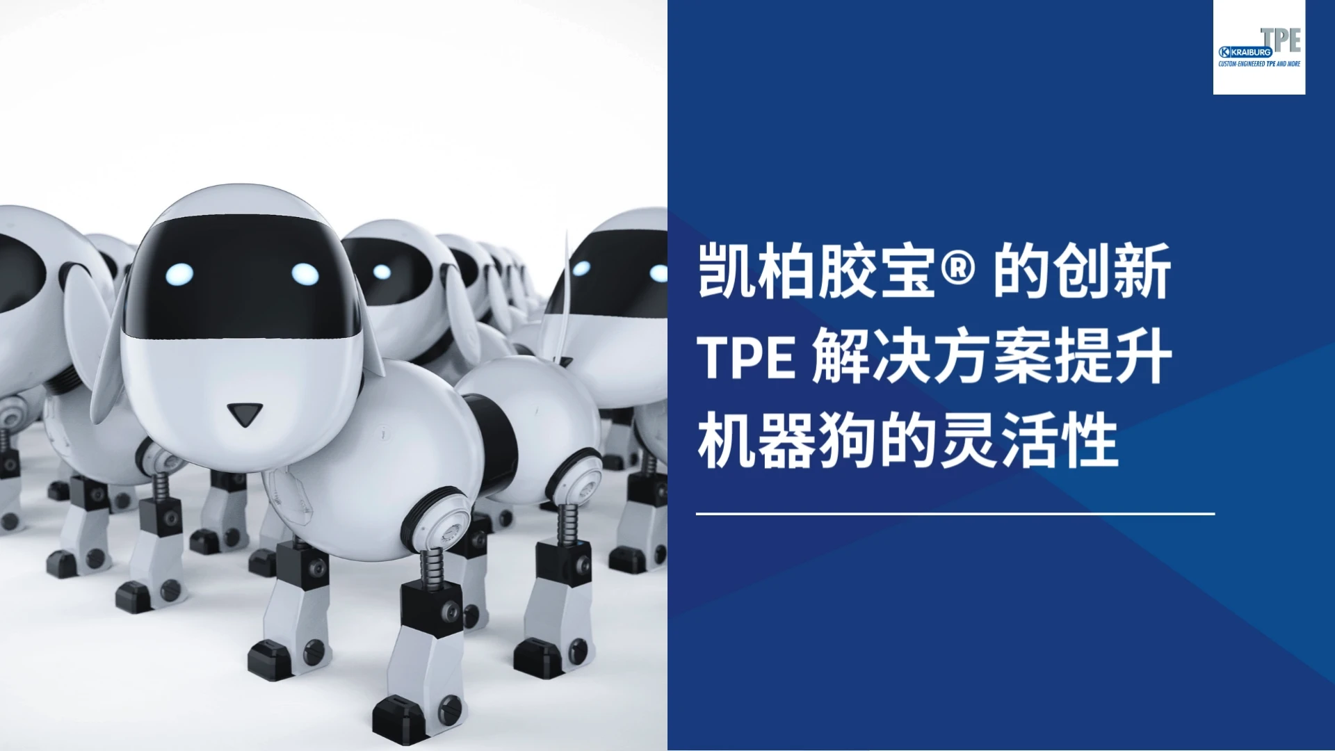 KRAIBURG TPE TECHNOLOGY (M) SDN.BHD.