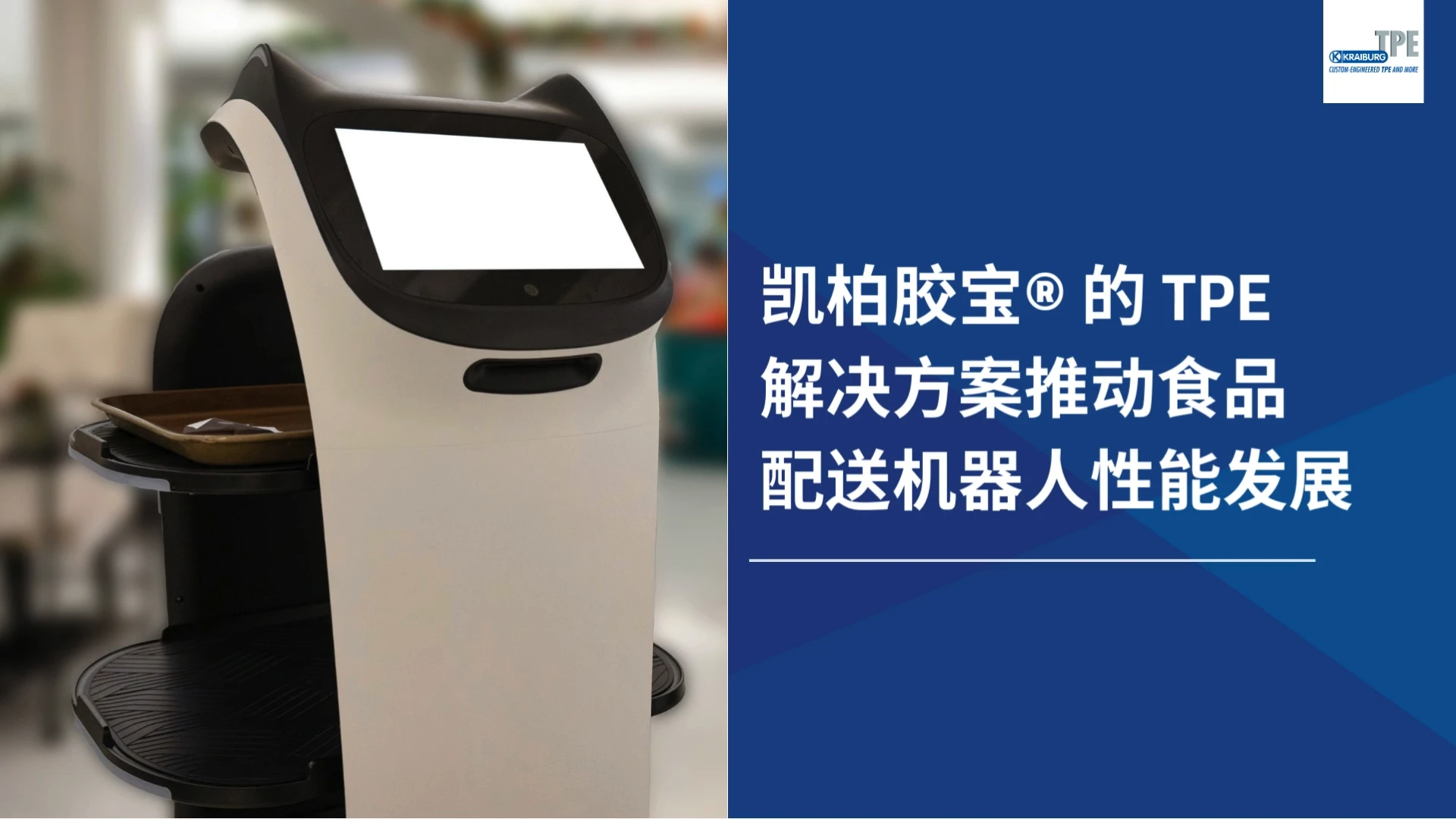 KRAIBURG TPE TECHNOLOGY (M) SDN.BHD.