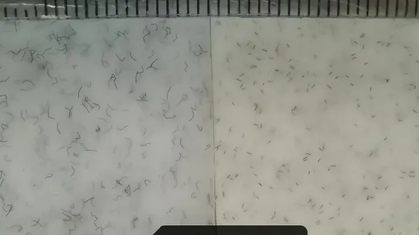 facade thumbnail