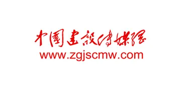 中国建设传媒网