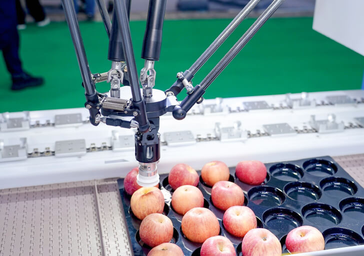 E-commerce & Fresh Distribution