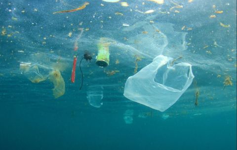 Plastic Europe_plastic pollution_480.JPG