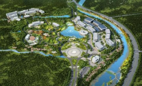 Wanhua_2_480.jpg