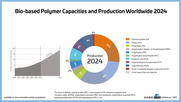 Bio-based polymer production 2024.jpg