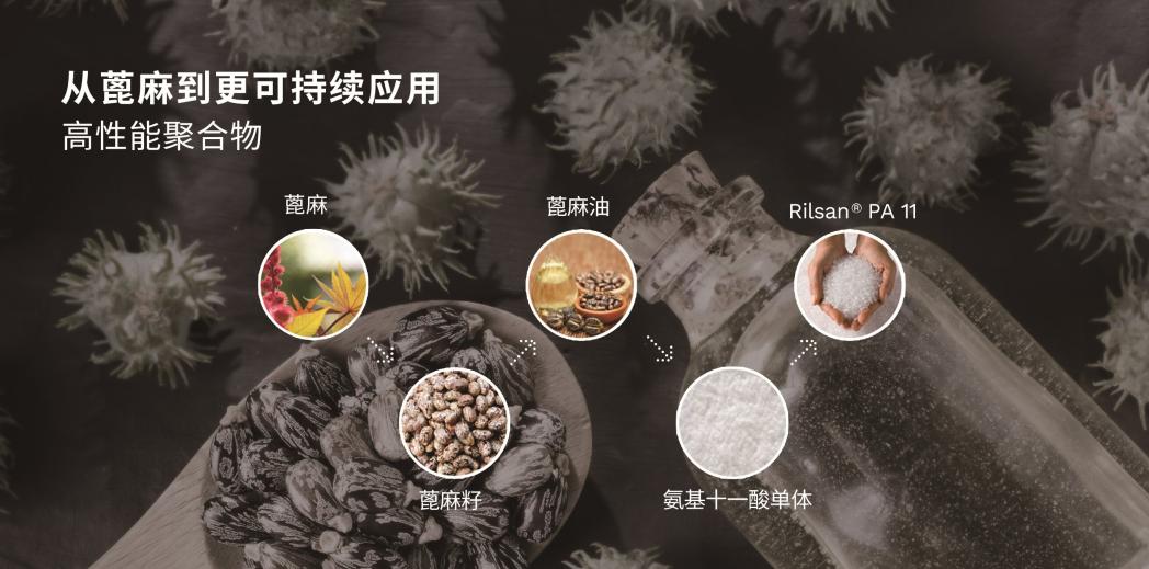 植敝鎊善載褫厥哿茼蚚_proc.jpg