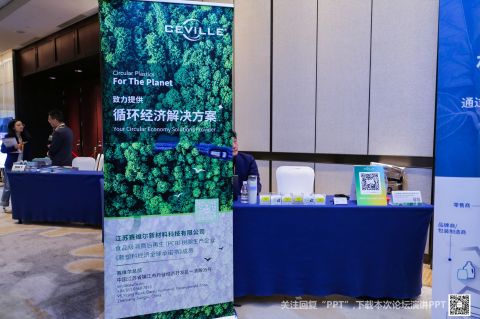 赛维尔.jpg