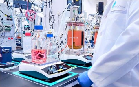 lululemon x ZymoChem_bio-based nylon.JPG