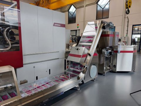 WITTMANN_IMD Vista Downstream Line.jpg