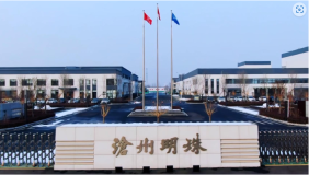 沧州明珠.png