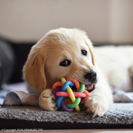 Chew Toy Square.png