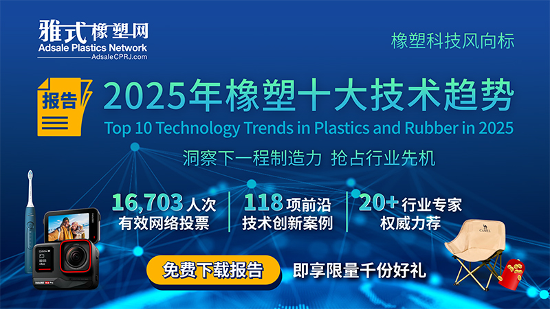 2025十大技术报告