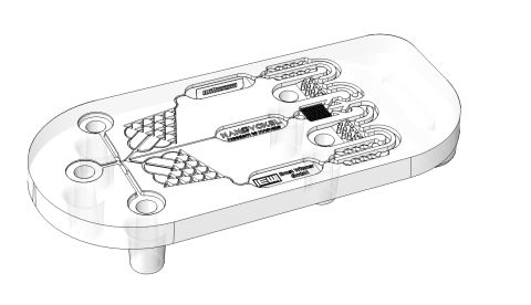 WITTMANN BATTENFELD_K 2025_Lab-on-a-Chip.jpg