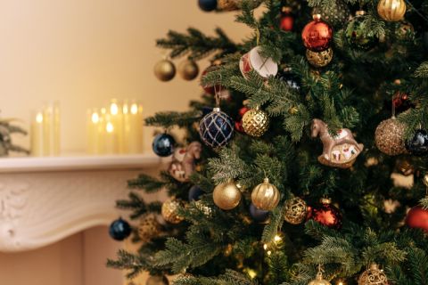 Braskem x Balsam Hill_green PE for xmas tree.jpg