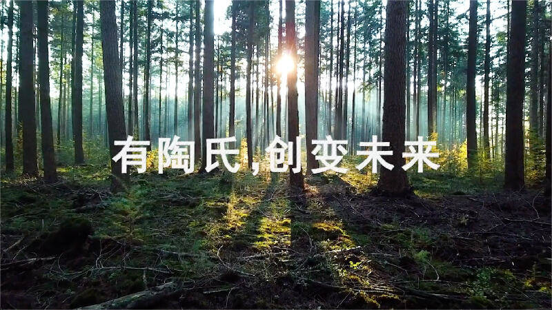陶氏公司中国45周年
