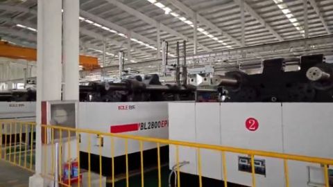 Bole Machinery_EPL IMM for pallets.jpg