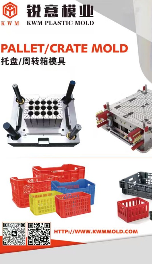 INJECTION MOLD FOR HOUSEHOLD PRODUCTS