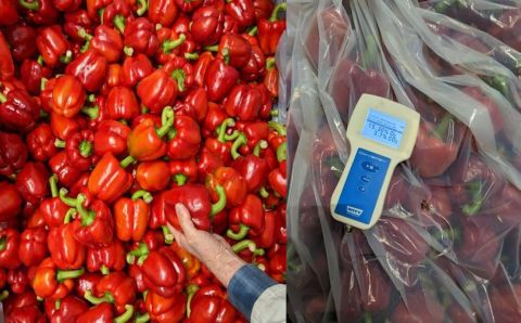 Envalior_Arnitel TPC film.jpg