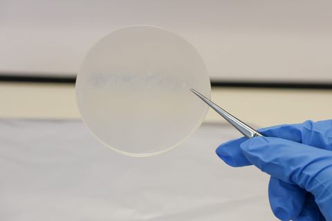 Flinders University_milk for bioplastics_03.jpg