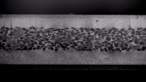 Promix Solutions_Microcell technology_foam structure.jpg