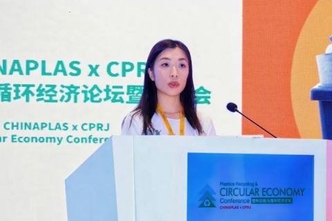 Rita Chu_480.jpg