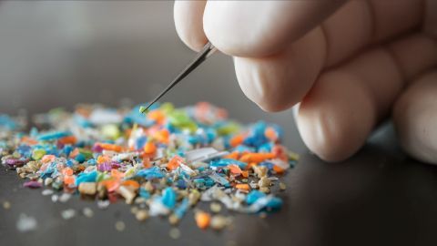 Microplastics_USFDA_480.jpg