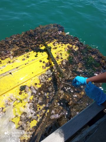 AIMPLAS_ENDFOULING project_biofouling - 複製.jpg