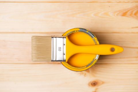Braskem x Lallemand LBDS_bio-acetone for paints - 複製.jpg