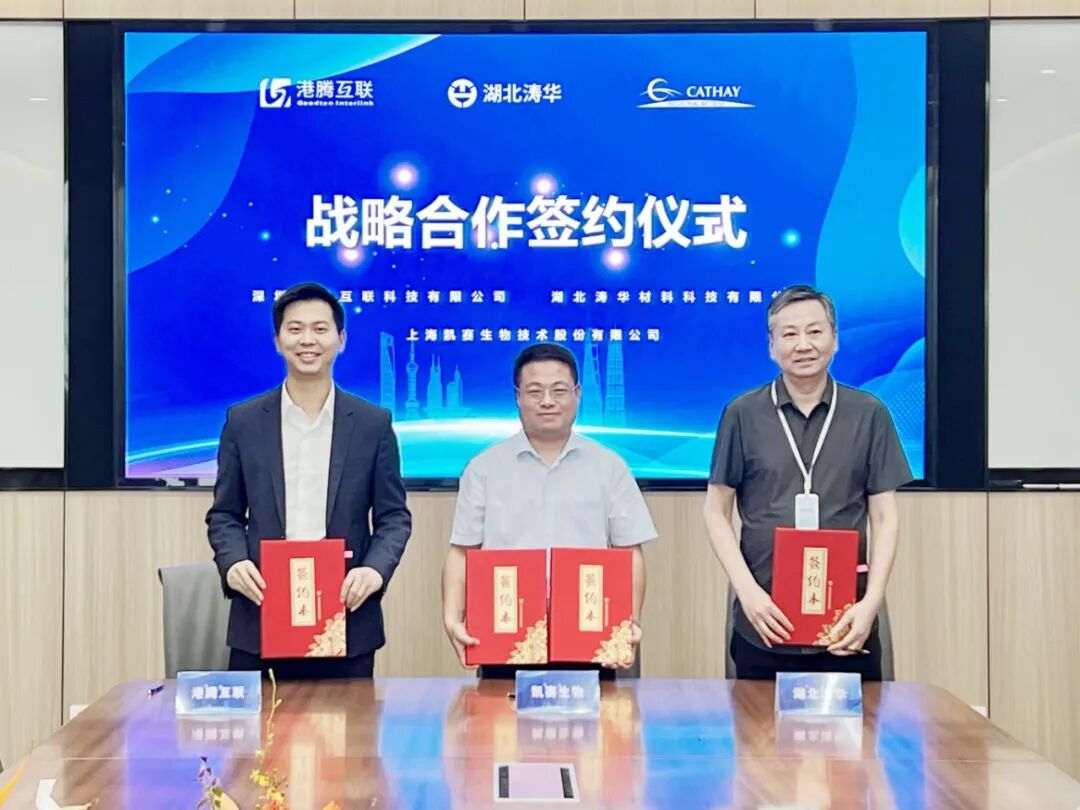 凯赛3.jpg