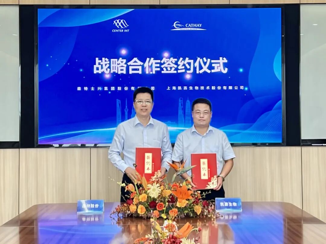 凯赛2.jpg