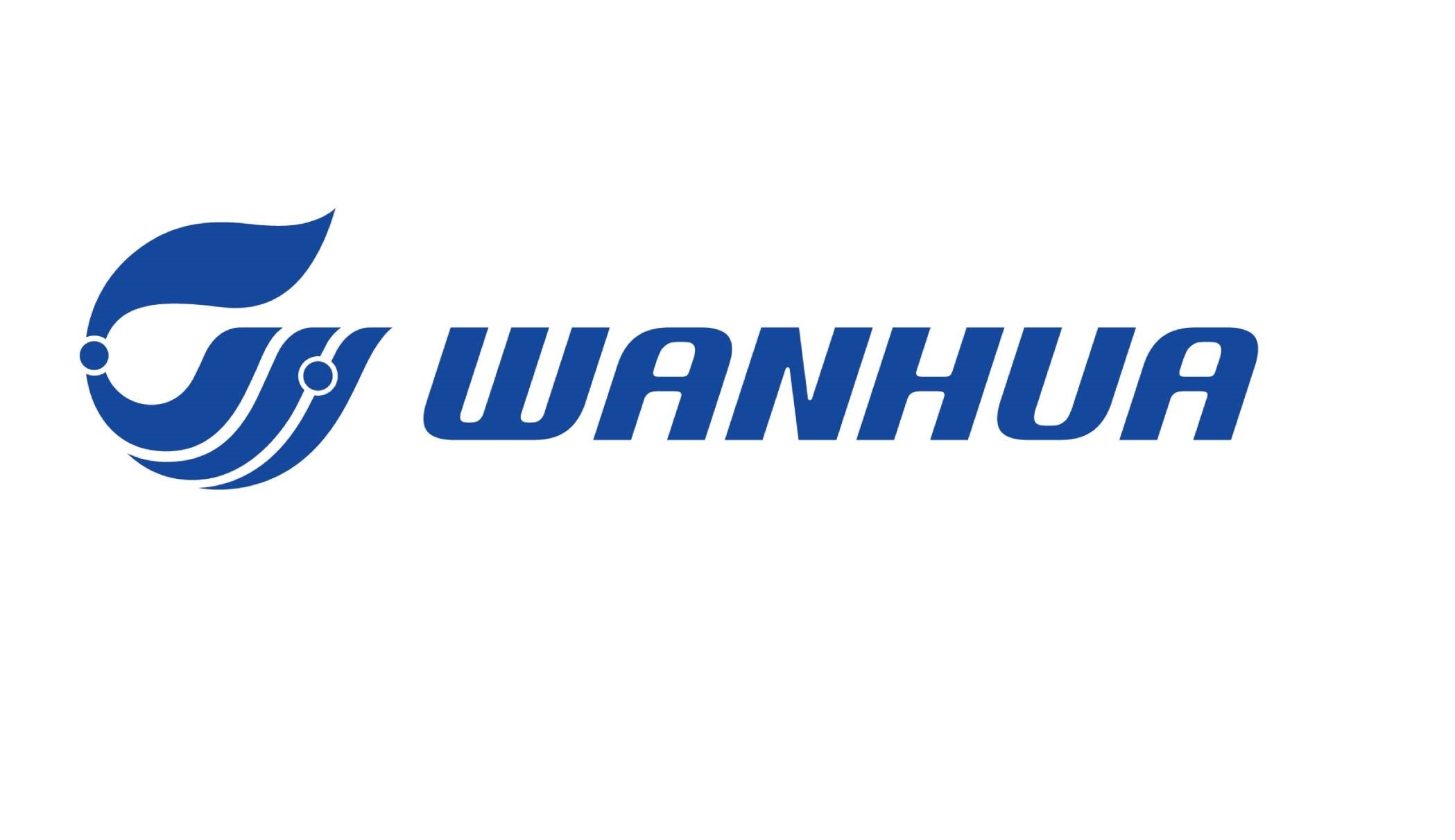 Webinar: Wanhua Chemical’s PVC solutions for multi-application challenges