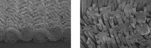 Toray_ARTIROSA CX fabric 02 - 複製.jpg