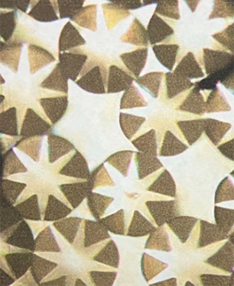 Toray_ARTIROSA CX fabric 01 - 複製.jpg
