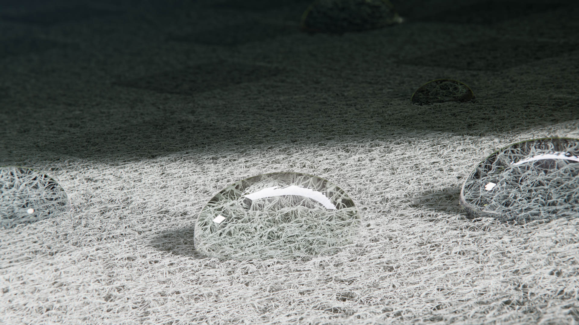 新闻- 纺科银河