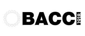 PAOLINO BACCI S.R.L.